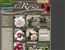 Tablet Screenshot of filroses.com